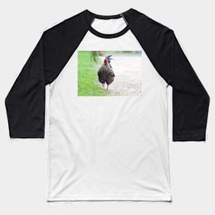 Plymouth rock rooster Baseball T-Shirt